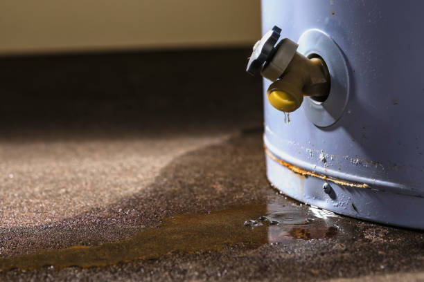 Best Flood damage cleanup  in Manitowoc, WI
