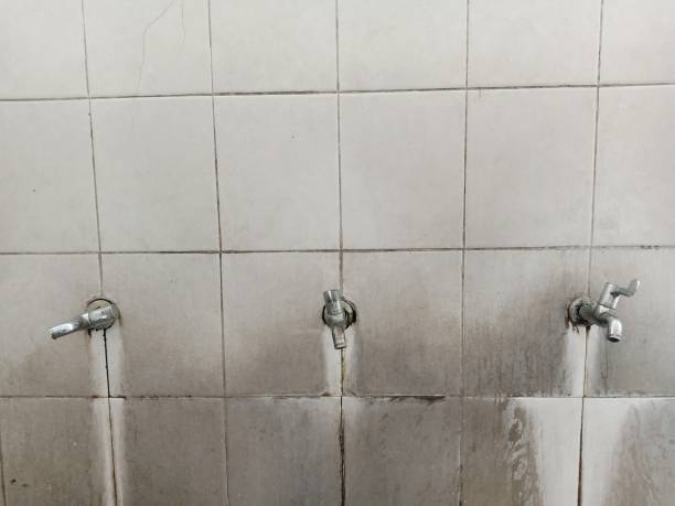 Best Water damage restoration cost  in Manitowoc, WI